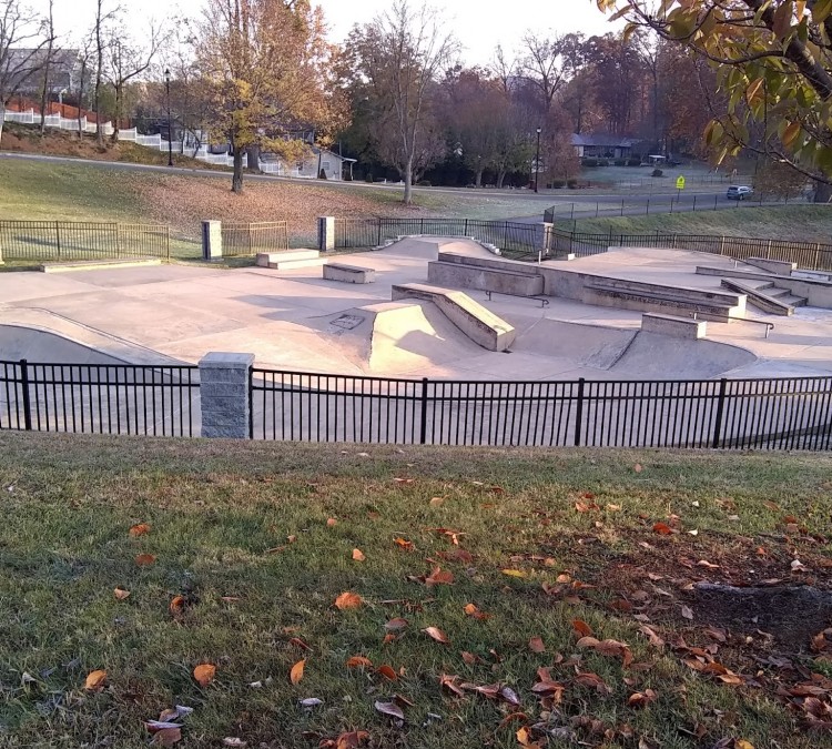 johnson-city-skate-park-photo